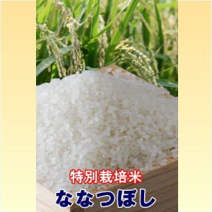 画像: 令和5年産蘭越産米特別栽培米ななつぼし 5kg