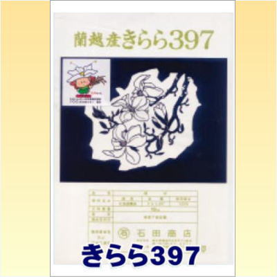 画像1: 令和6年産蘭越米きらら397 5kg (1)